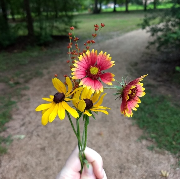 Meet your Posher, Amy - Picture 1 of 1